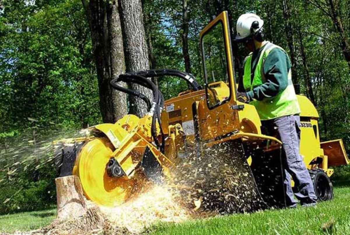 stump grinding services near me
